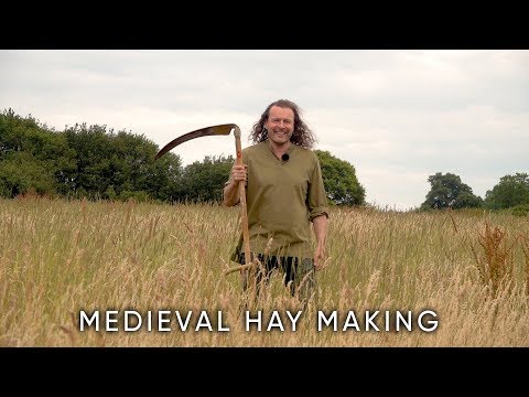 Medieval Hay Making – Ducatus